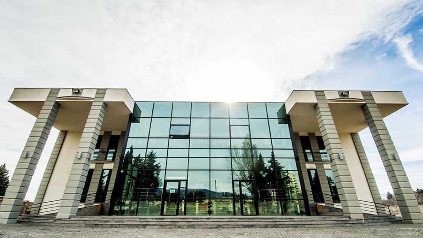 Grigol Robakidze University, Tbilisi