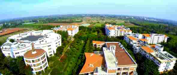 Alliance University