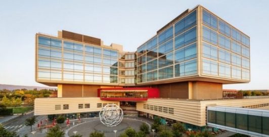 Stanford University (School of Medicine, MD)